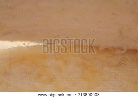 The texture of mineral wool for insulating the walls Insulation for the roof and walls of the house mineral wool