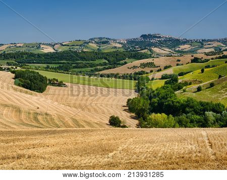 Summer Landscape Near Monterubbiano (fermo, Marches)