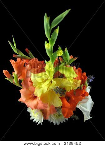 นกดอกไม้ตา