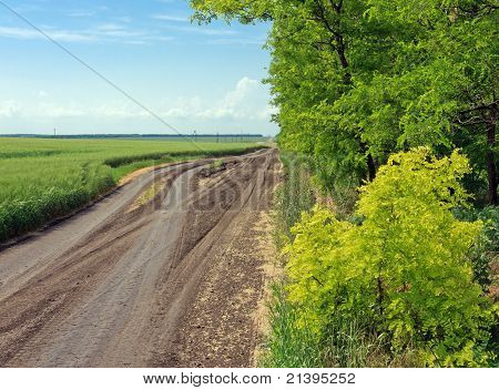 Straße zwischen Feld und Wald