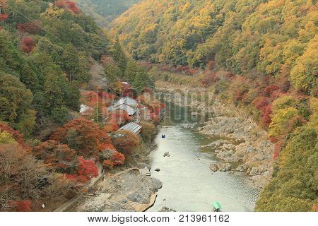 an Autumn Leaves Of Arashi yama kyoto