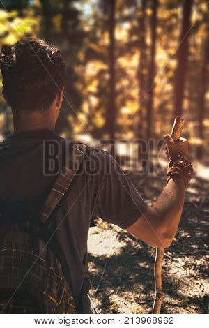 Hiker observing beauty of the forest in summertime. Man and indian summer. Man traveler looking in forest. Young man with backpack and stick and kerchief looking far away. Colorful forest and wanderer