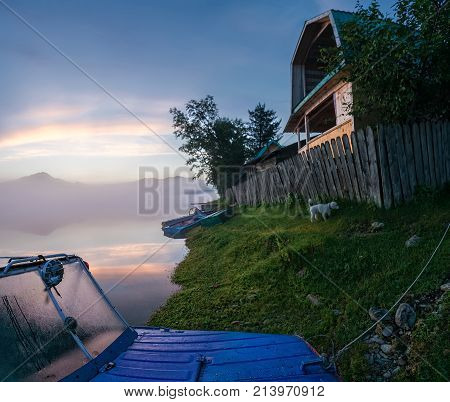 summer early morning on the lake in the fog. against the background of the mountains and the village on the shore. White poodle walking on green grass. one fishing boat lie on the beach in the background of a pink dawn