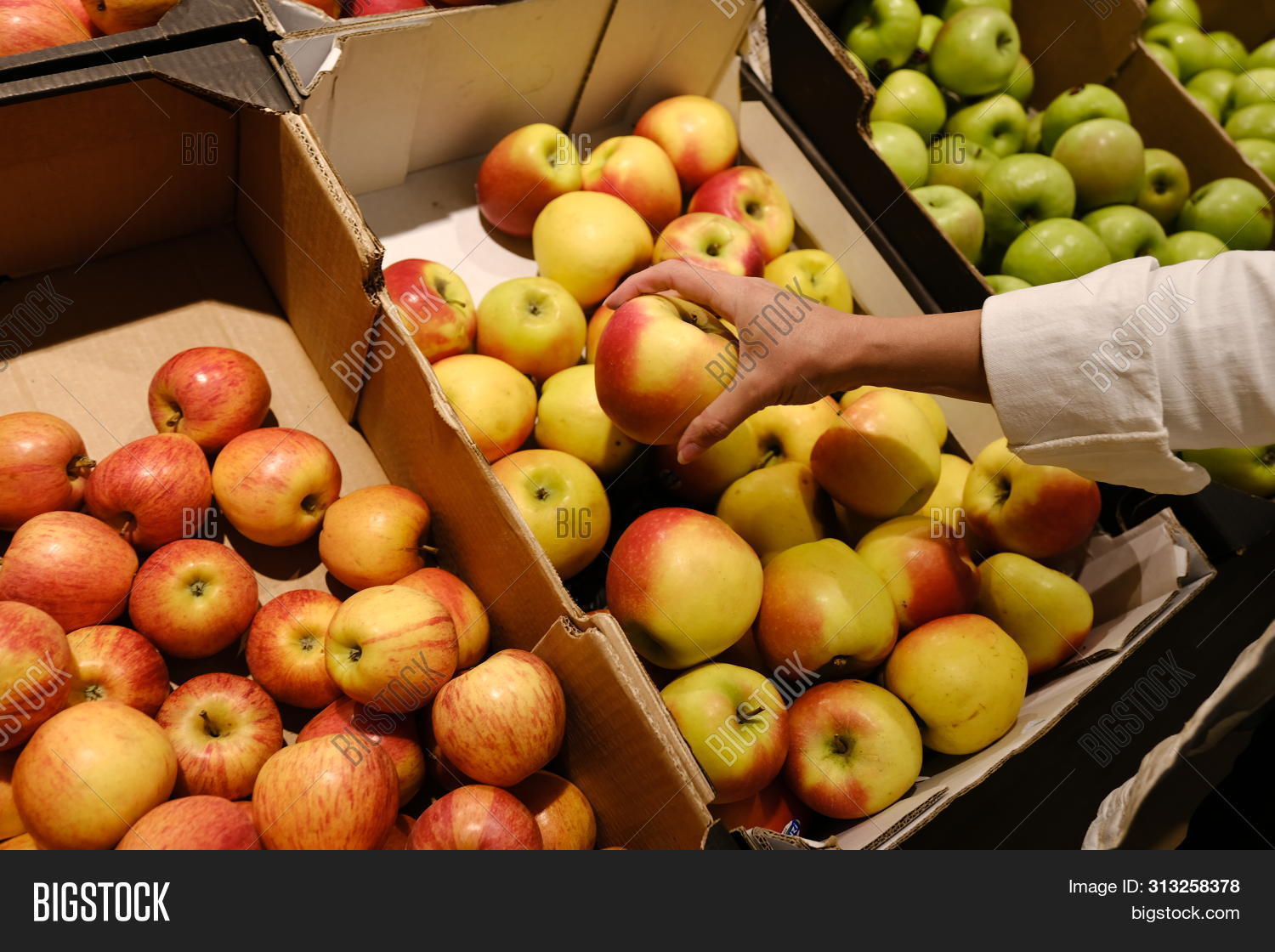 Apple chooses. 300 яблок. Apple chooses. Apple chooses. Яблоко в крапинку.