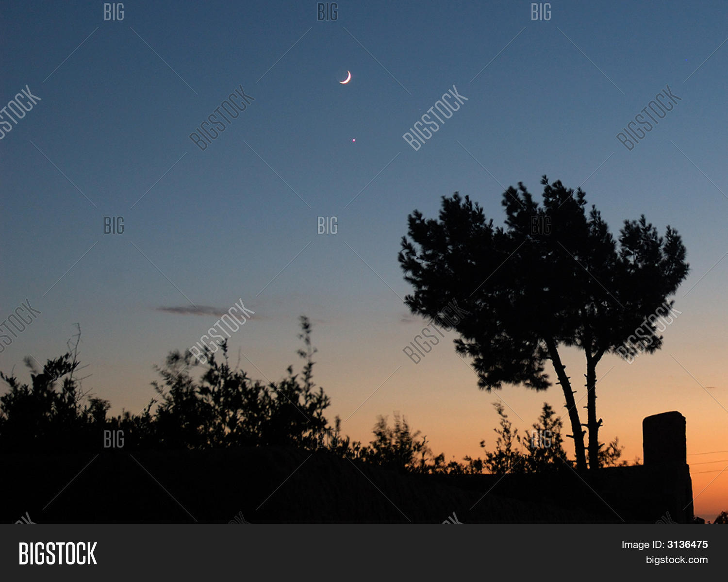 Image Preview