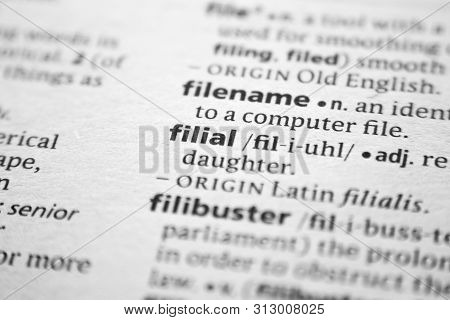 Word Or Phrase Filial In A Dictionary