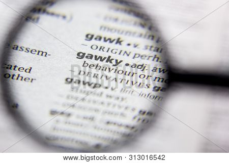 Word Or Phrase Gawky In A Dictionary