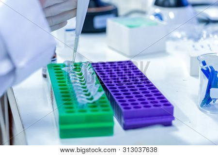Scientist Pipette Dropping A Sample Into A Test Microtiter Tube.