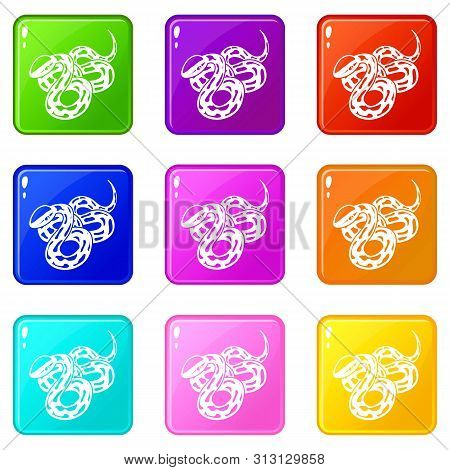 Texas Snake Icons Set 9 Color Collection Isolated On White For Any Design