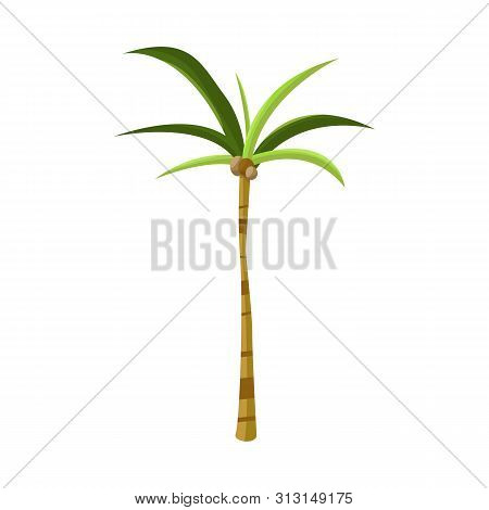 Vector Illustration Of Palm And Exotic Symbol. Collection Of Palm And Trunk Stock Vector Illustratio