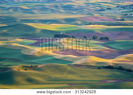 Golden Hour Sunset Aerial View Of The Palouse Region Of Eastern Washington State, As Seen From Stept