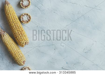 Shucked And Cleaned Sweet Corns On Bright Blue Background. Sweet Corns On The Desk. Sweet Corns Imag