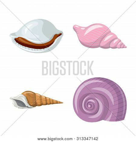 Vector Illustration Of Seashell And Mollusk Logo. Set Of Seashell And Seafood Stock Vector Illustrat