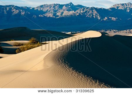 Curva di luce