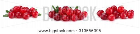 Cranberry With Leaves Isolated On White. With Clipping Path. Full Depth Of Field.