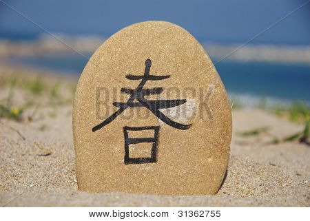 japanese spring season on a stone