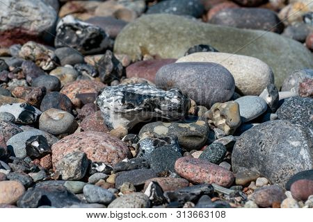 Multi Coloured Pebbles On A Beach In Bright Sunshine