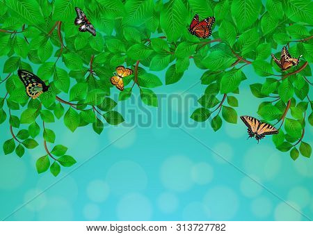 Illustration Of Green Leaf Branches And Butterflies With Sky Background