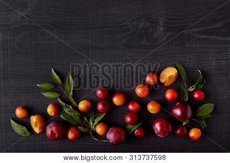 Top View Of Ripe Summer Bright Fruit Leaves From Their Trees, Being At Bottom Of Whole Composition. 