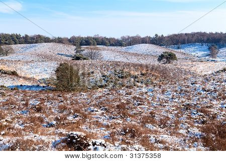 Inverno selvaggio