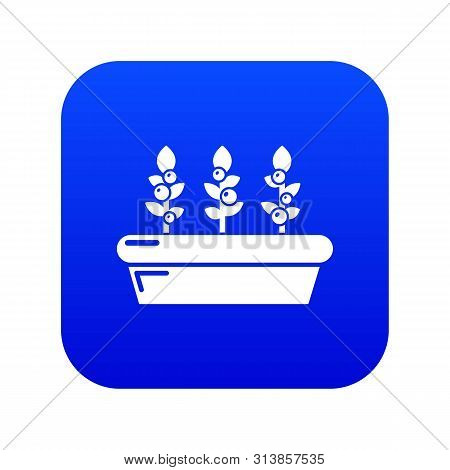 Outdoor Potted Plants Icon Blue Isolated On White Background