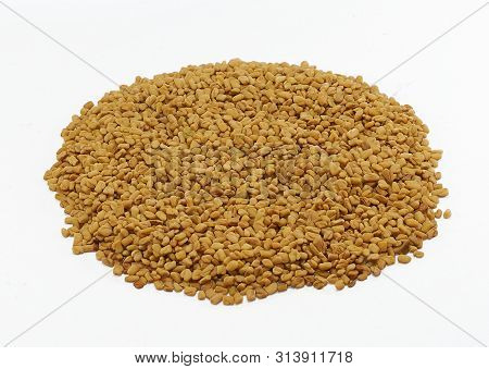 Fresh Fenugreek Seed Isolated On White Background