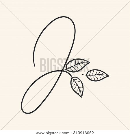 Calligraphy Alphabet. Decorative Handwritten Font. Vector Letter J Decorated With Leaves, Florals. W