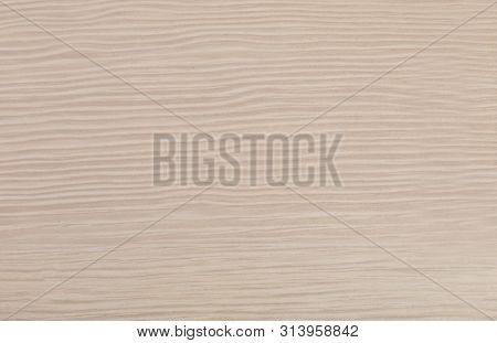 Granite Texture And Background. Flat Lay. Top View