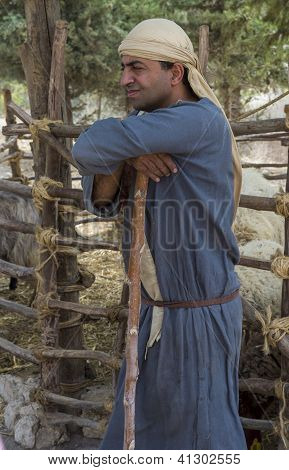 Palestinské Shepherd