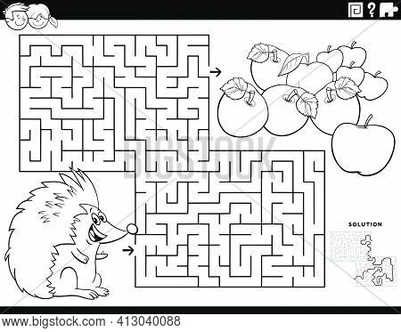 Black And White Cartoon Illustration Of Educational Maze Puzzle Game For Children With Hedgehog Anim