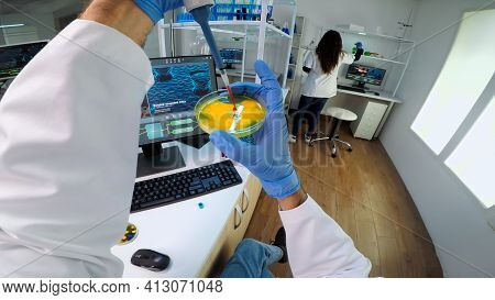 Pov Of Scientist Using Micropipette For Analysing Blood Sample Putting In Petri Dish. Team Of Resear