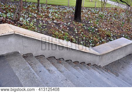Retaining Wall At The Large Staircase In The Park The Flowerbed Area Is Planted With Rich Greenery O