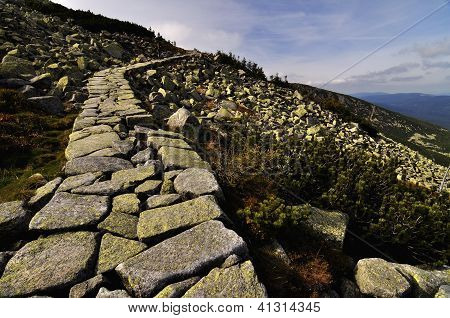 Sentiero di montagna