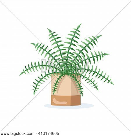 Flower In Pot Isolated On White Background