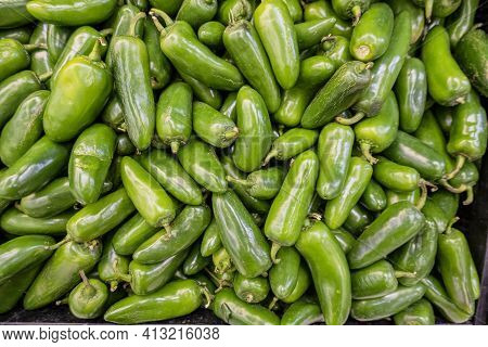 Green Pablano Chilis In A Pile Ready For Sale.