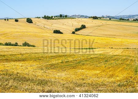 Marches (Italie), paysage