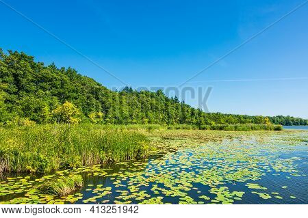 Landscape On A Lake In Templin, Germany.