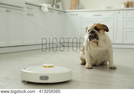 Robotic Vacuum Cleaner And Adorable Dog On Floor In Kitchen