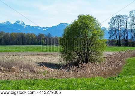 View From Agricultural Land Around Rosenheim, Bavaria, Germany Towards The Alps