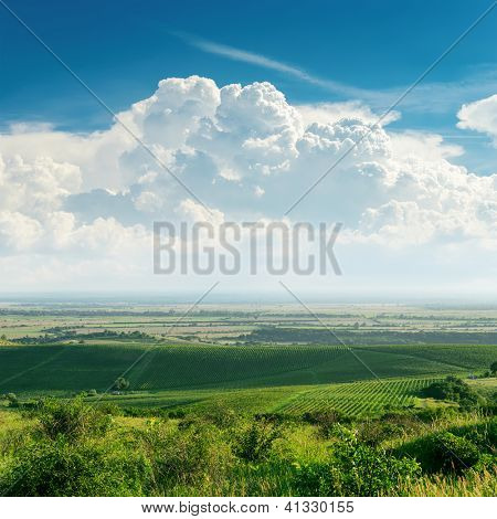 clouds over green vineyard. Ukraine, Trans-carpathian region