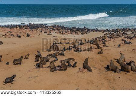 Colony Of Fur Seals At Cape Cross At The Skelett Coastline Of Namibia At The Atlantic Ocean, Backgro