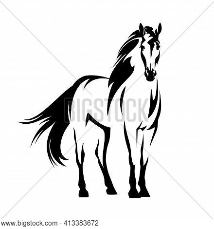 Beautiful Mustang Horse With Wind Blown Mane And Tail - Standing Wild Stallion Black And White Vecto