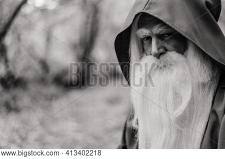 A Wizard With A Long Gray Beard And A Cloak In A Deep Forest. An Elderly Man In A Witcher Costume. M