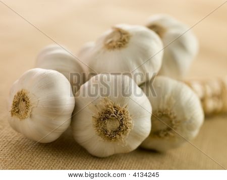 Spirallampen mit Knoblauch