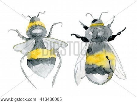 Realistic Small Watercolor Bees Isolated On White