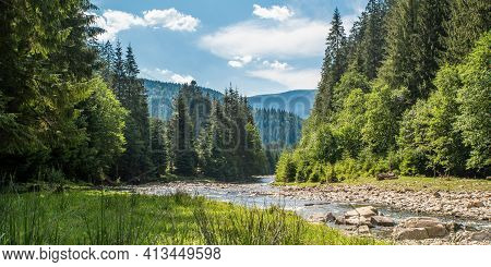 Mountain River Flows Near The Coniferous Trees On A Background Of Mountains. Panoramic Landscape.