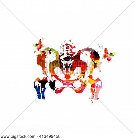 Anatomical Human Pelvis Poster. Healthcare, Medical Checkup And Diagnostic Vector Illustration. Huma