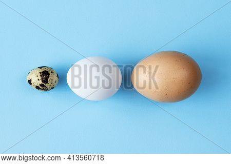 Three Type Of Different Birds Eggs Isolated On Blue Paper Background. Various Size And Kind Choice C