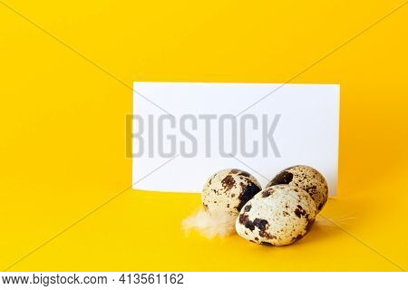 Visiting Card With Quail Eggs And Feather On Yellow Paper Background With Copy Space. Empty Text Pla