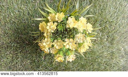 Blossom Yellow Plastic Flower On Grass Photo